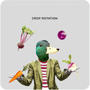 COA046 ... Crop Rotation