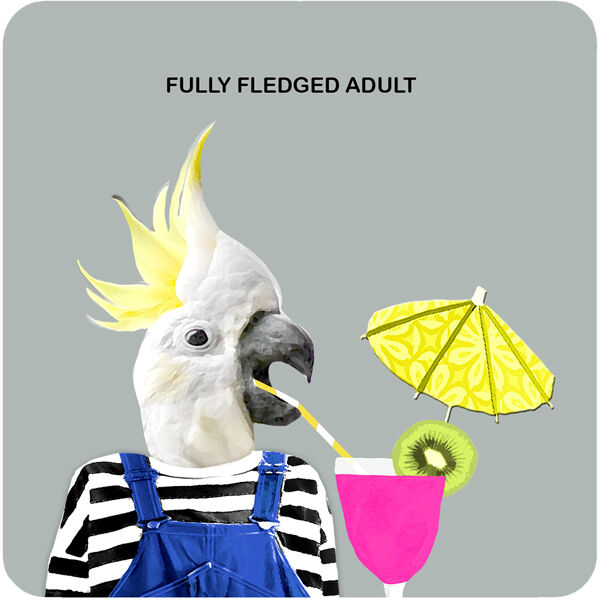 COA065 - Fully fledged adult