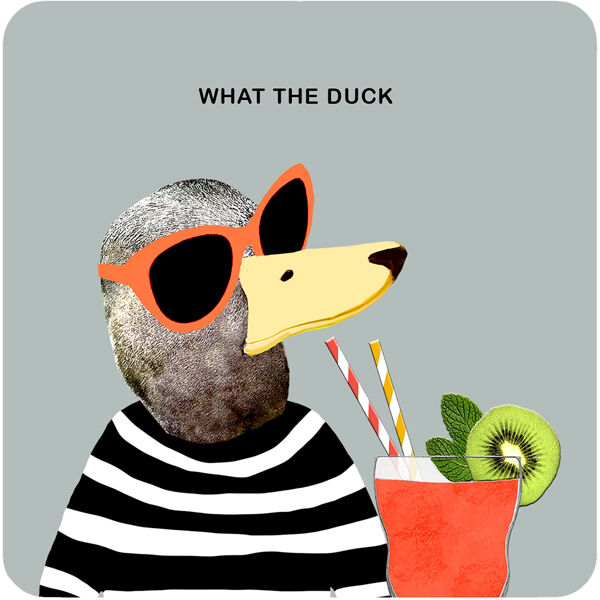 COA066 - What the duck