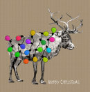 Christmas 044