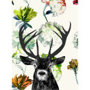 Flora Fauna