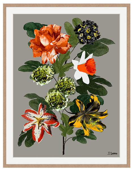 Flora Fest No4 Col2