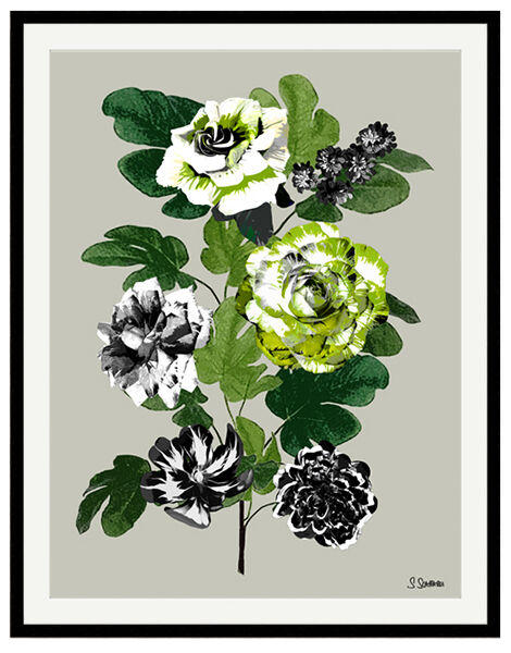 Flora Fest No9 Col2