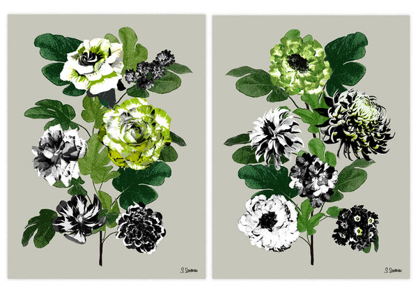 Flora Fest No9 Col2 & No10 Col2