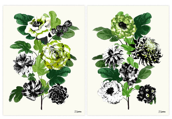Flora Fest No9 & No10