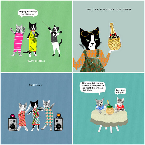 Kitty Bundle (CAT001, 004, 005, CC004)