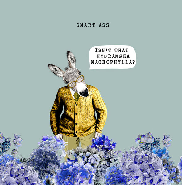 LP002