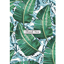 Note Card Packs