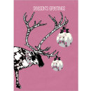 Special Price Christmas Card Packs