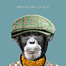Large Square Birthday Cards