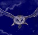 Midnight Messenger