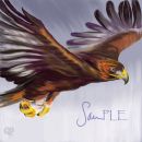 Soaring