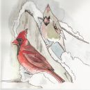 Cardinals