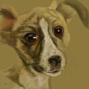 Tom's Puppy