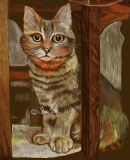 Tabby