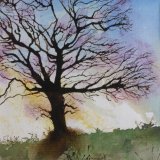 The Majestic Oak