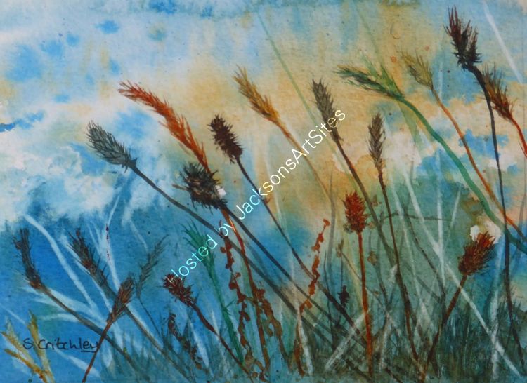 Hedgerow grasses