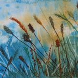 Hedgerow grasses