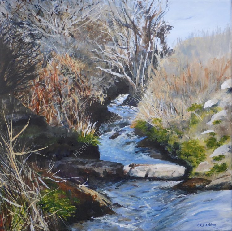 Flowing water, Penberth River