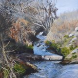 Flowing water, Penberth River