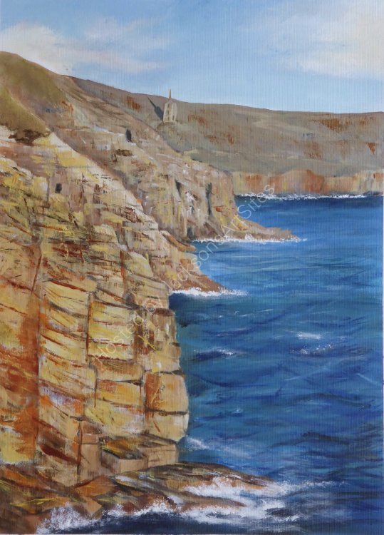 Late afternoon sun on Rinsey Cliffs
