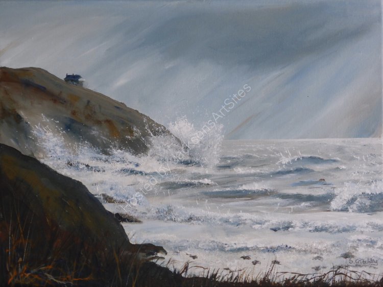 Rinsey Storm