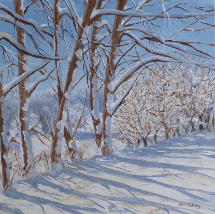 Shadows in the snow 2