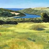 Summer Greens, Loe Bar, Cornwall