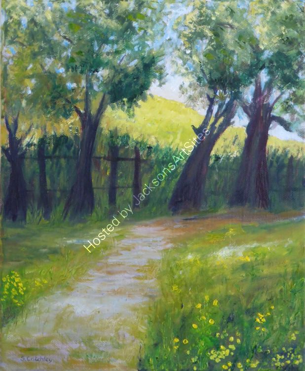 Summer Sunshine