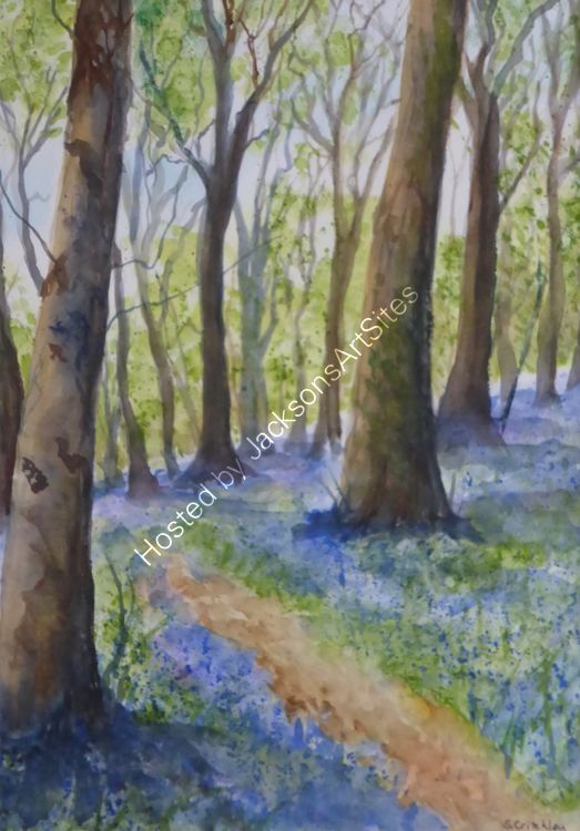 May Bluebells, Godolphin