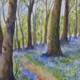 May Bluebells, Godolphin