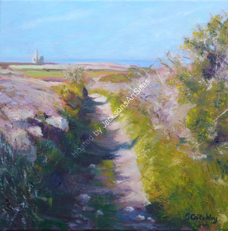 Footpath shadows, Cornwall