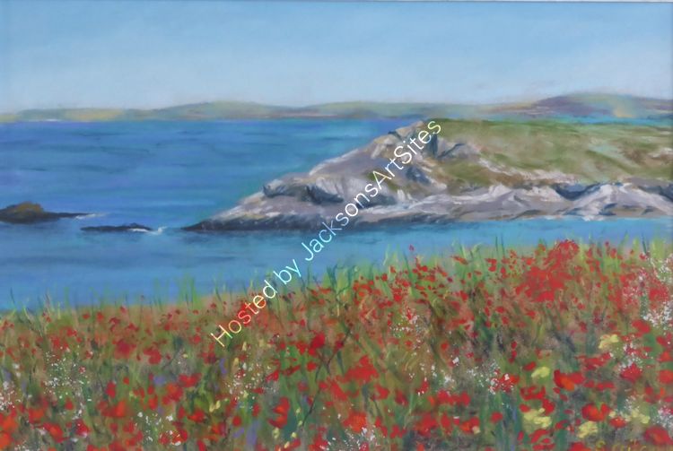 Wild poppy fields, West Pentire
