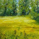 Buttercup Meadow