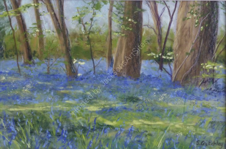 Godolphin Bluebells