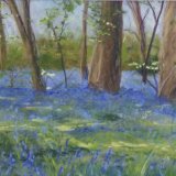 Godolphin Bluebells