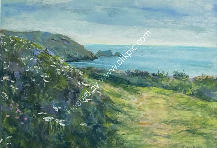 Walking on the coastal path, nr Tintagel