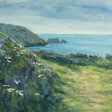 Walking on the coastal path, nr Tintagel