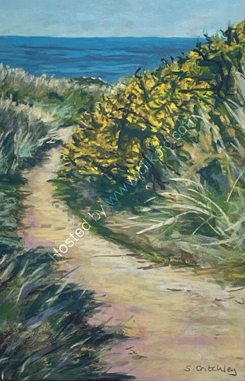 Through the dunes