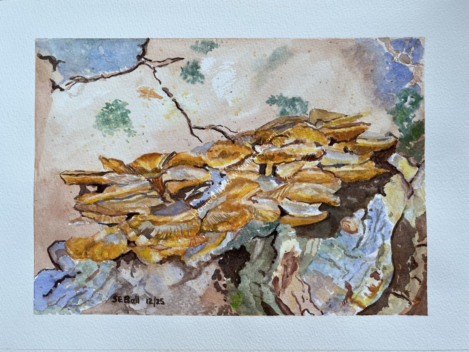 Abstract seen in Portmerion