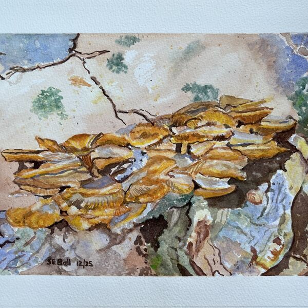 Abstract seen in Portmerion