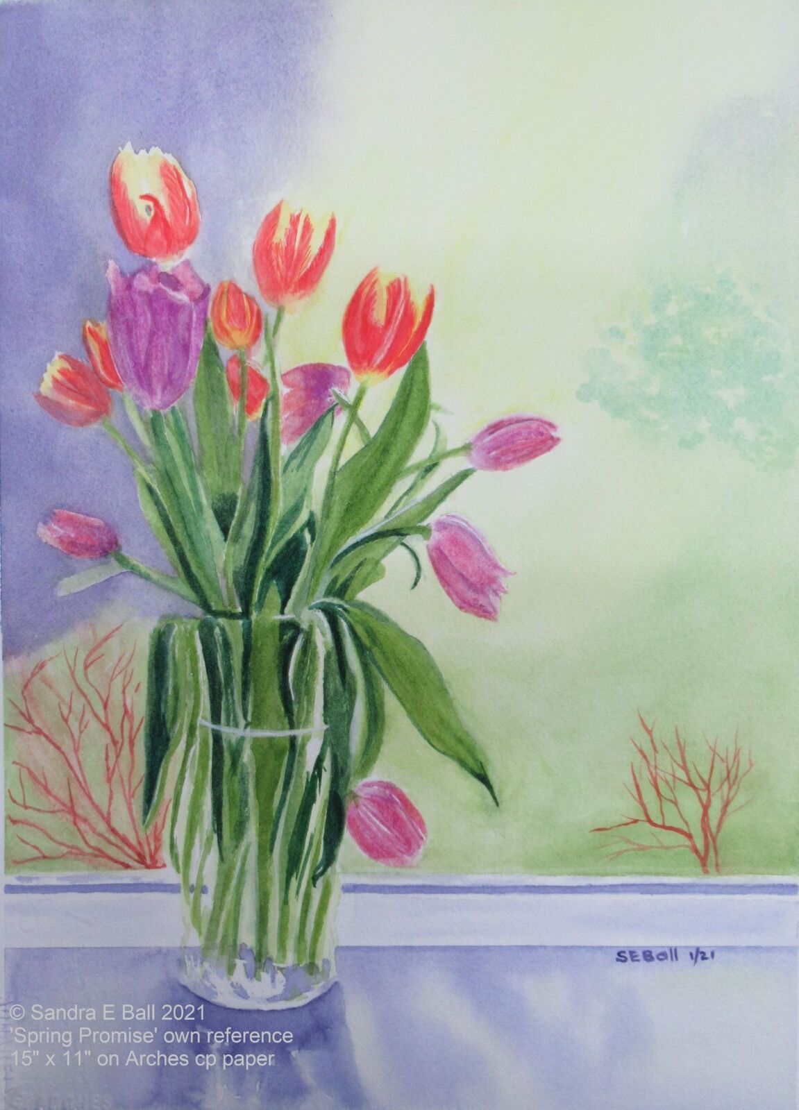 15" x 11" Tulips painted on Arches CP Paper