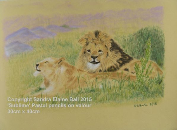Wallace and Khara lions in pastel