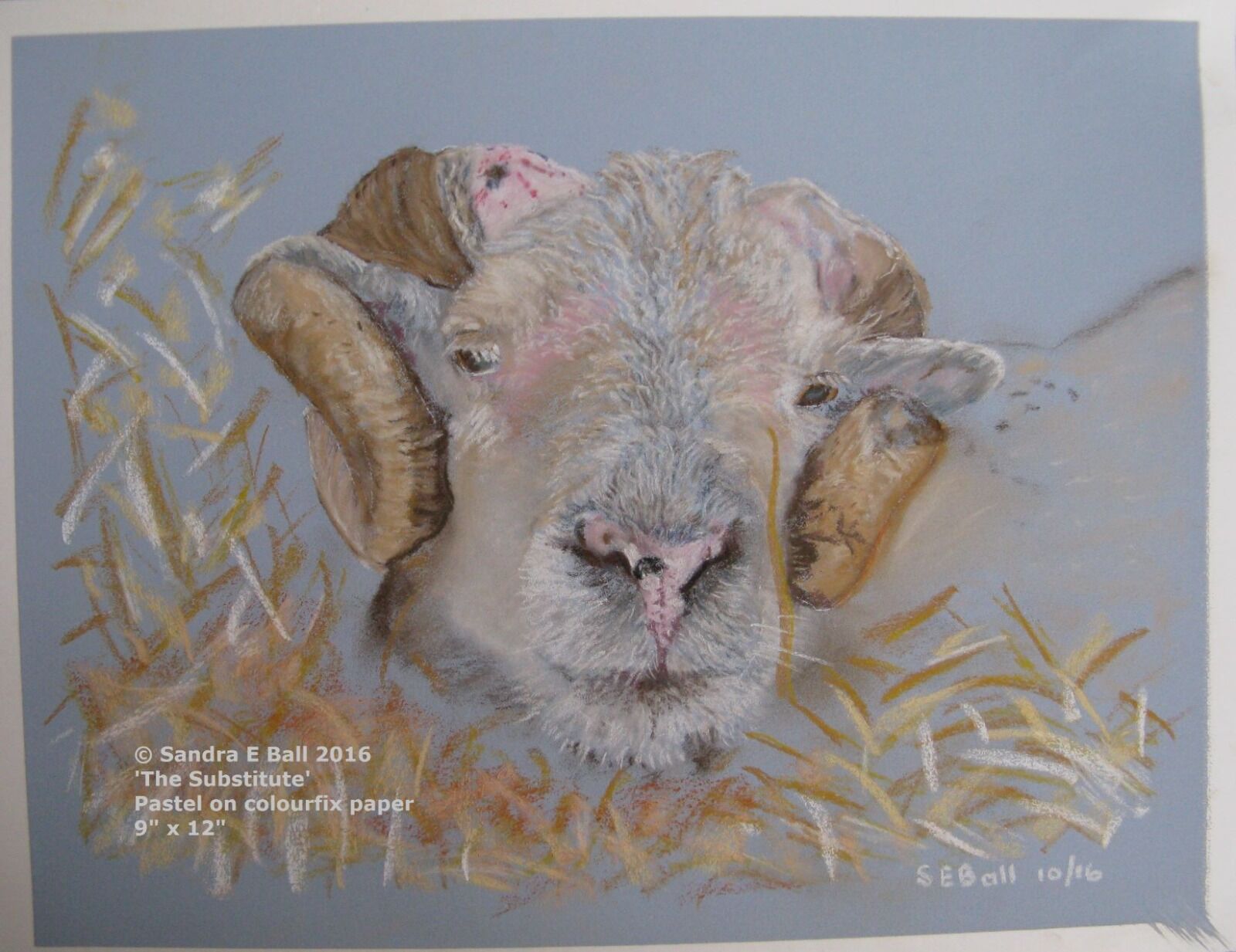 'The Substitute' Ram