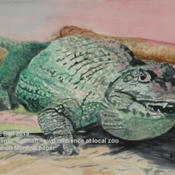 'Under the Light' watercolour Caiman