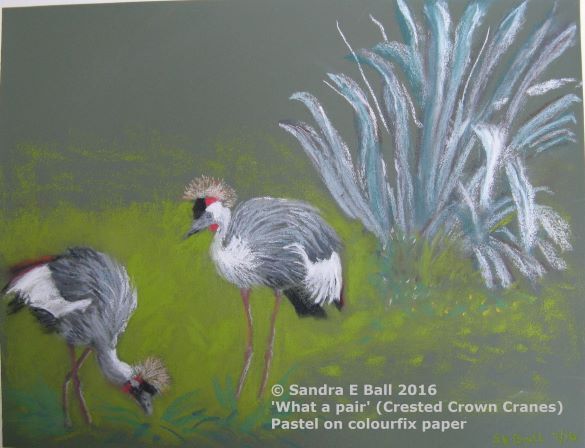 Crested Crown Cranes in Pastel