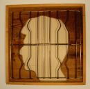 Prisoner of Conscience