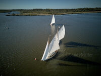 DJI 0038