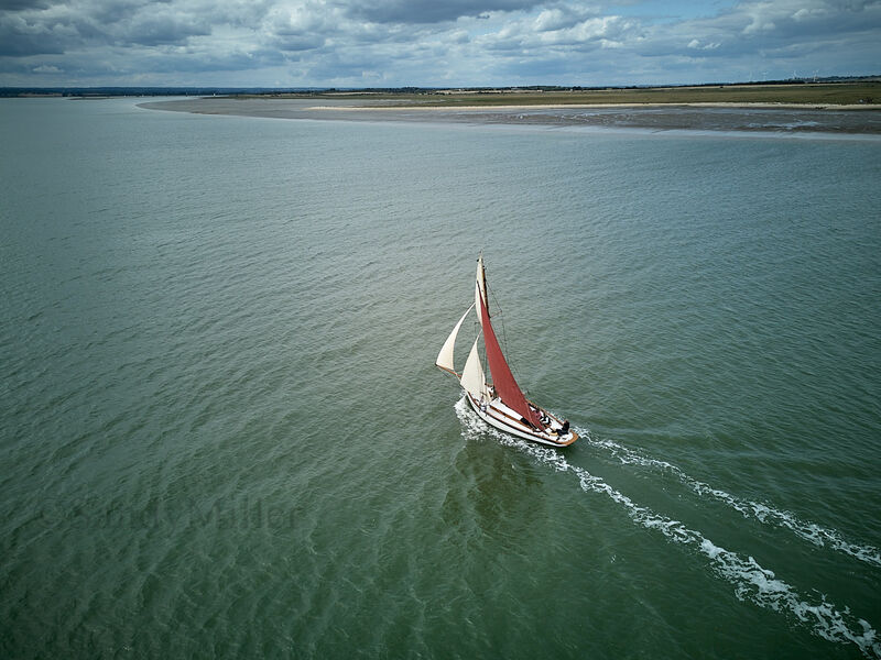 DJI 0088