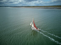 DJI 0088